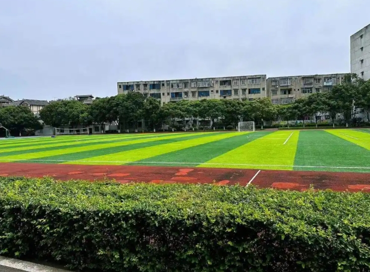 四川成都市第二十四中学招生简章2025年