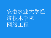 网络工程