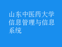 信息管理与信息系统