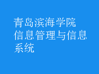 信息管理与信息系统