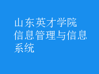 信息管理与信息系统