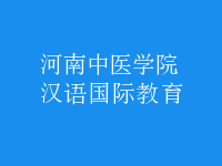 汉语国际教育