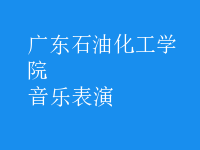 音乐表演