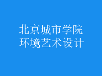 环境艺术设计