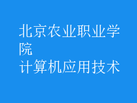 计算机应用技术
