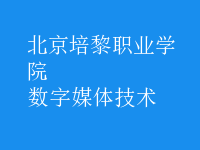 数字媒体技术