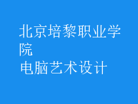 电脑艺术设计