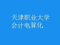 会计电算化