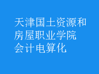 会计电算化