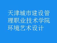 环境艺术设计