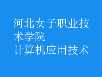 计算机应用技术