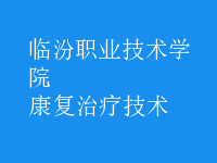 康复治疗技术