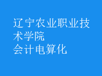 会计电算化