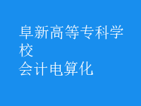 会计电算化