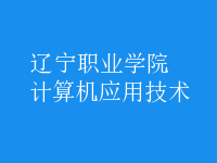 计算机应用技术