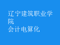 会计电算化