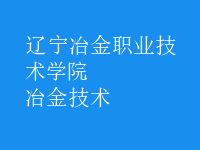 冶金技术