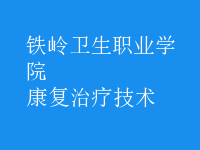 康复治疗技术