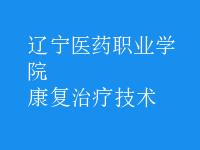 康复治疗技术