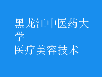 医疗美容技术