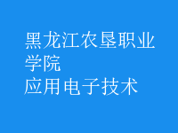 应用电子技术