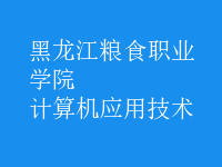 计算机应用技术
