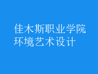 环境艺术设计