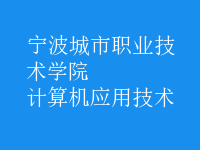 计算机应用技术