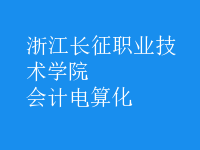 会计电算化