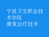 康复治疗技术