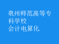会计电算化