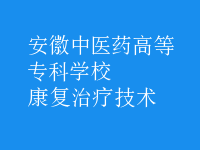 康复治疗技术