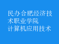 计算机应用技术