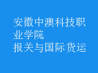 报关与国际货运