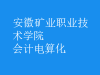 会计电算化