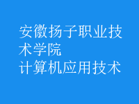 计算机应用技术