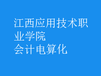 会计电算化