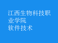 软件技术