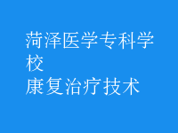 康复治疗技术