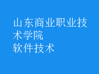 软件技术