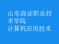 计算机应用技术