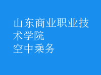 空中乘务