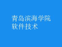 软件技术