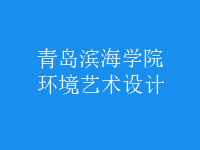 环境艺术设计