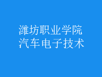 汽车电子技术