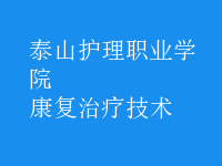 康复治疗技术