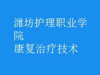康复治疗技术
