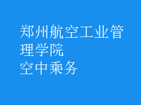 空中乘务