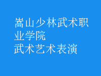 武术艺术表演