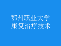 康复治疗技术